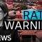 Borrowers dodge rate rise but RBA flags more pain could be ahead | The Business | ABC News