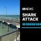 Shark attack leaves woman with serious leg injuries near Beachport Jetty in SA | ABC News